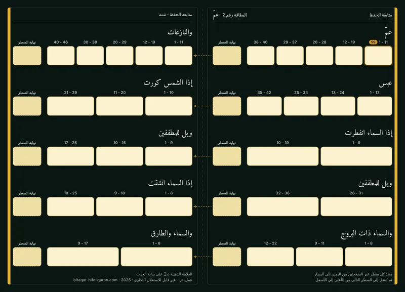 الظهر — المستوى 2