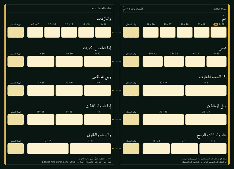 الظهر — المستوى 2