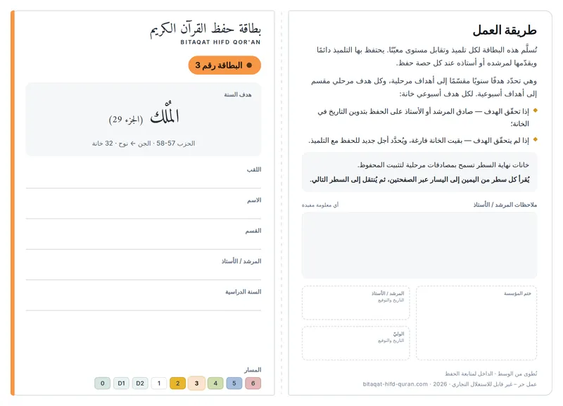 المستوى 3 — الوجه الأمامي