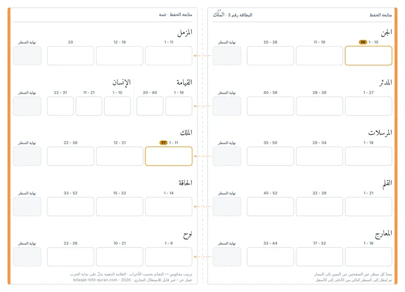 الظهر — المستوى 3