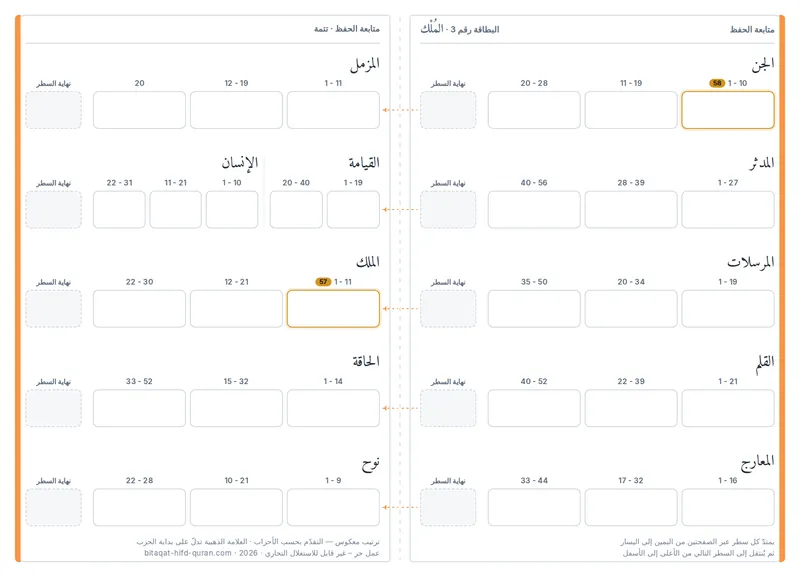 الظهر — المستوى 3