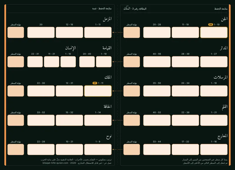الظهر — المستوى 3