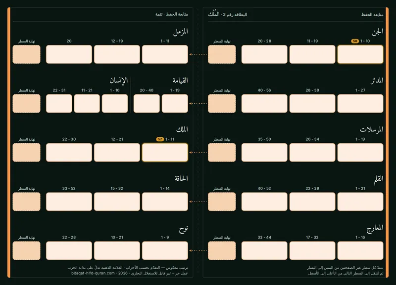 الظهر — المستوى 3