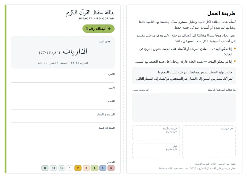 المستوى 4 — الوجه الأمامي