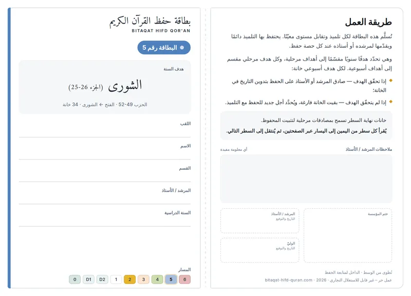 المستوى 5 — الوجه الأمامي
