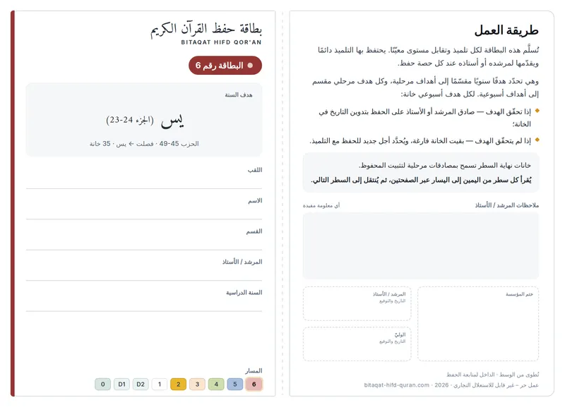 المستوى 6 — الوجه الأمامي