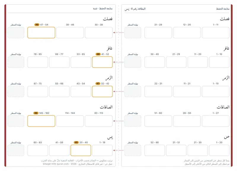 الظهر — المستوى 6