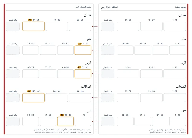 الظهر — المستوى 6