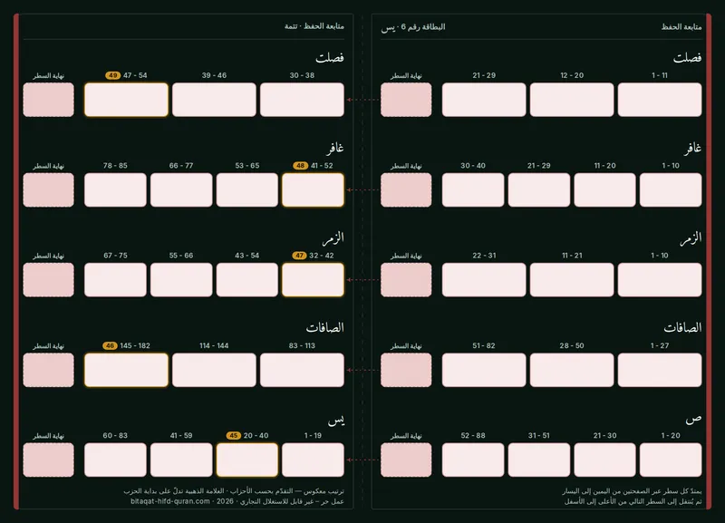 الظهر — المستوى 6