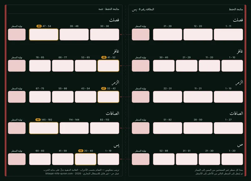 الظهر — المستوى 6