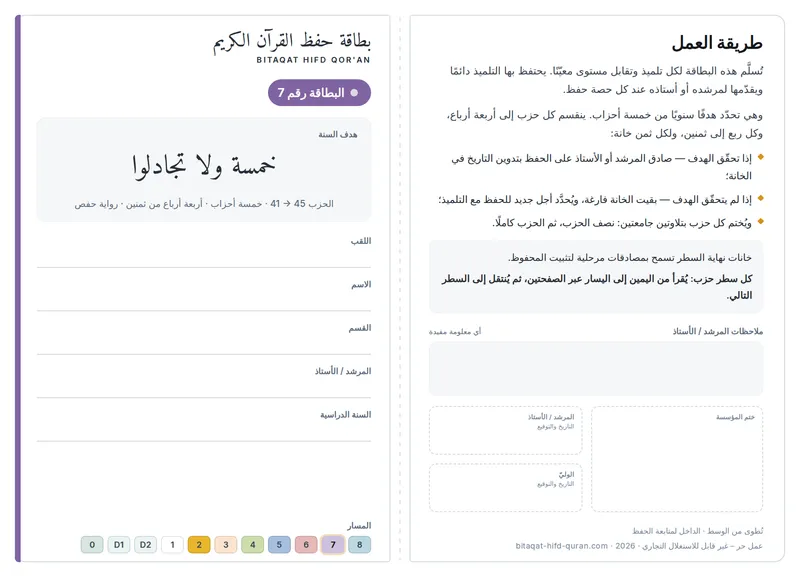 المستوى 7 — الوجه الأمامي